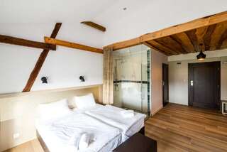 Отели типа «постель и завтрак» Stary Folwark Machnice Machnice Улучшенный двухместный номер с 1 кроватью-4